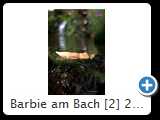 Barbie am Bach [2] 2014 (IMG_8172)